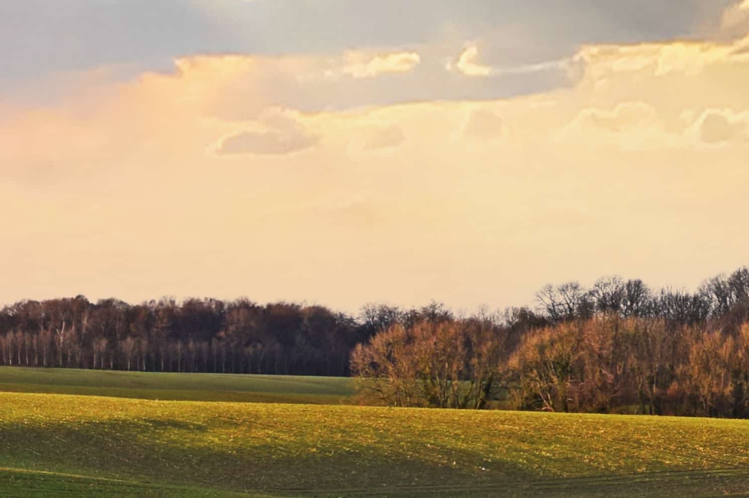L'appel à projet de la commune de Bouelles PARC ÉOLIEN DE BOUELLES